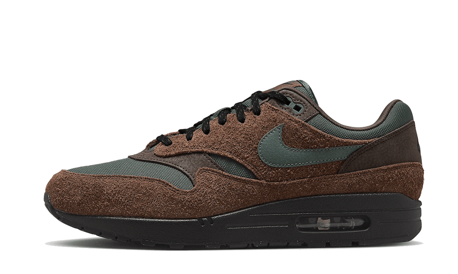Nike Air Max 1 Beef and Broccoli