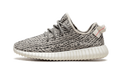 Yeezy Boost 350 Turtledove