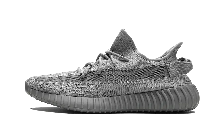 Yeezy Boost 350 v2 CMPCT Slate Bone