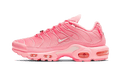 Nike Air Max Plus Atlanta