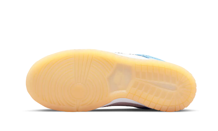 Dunk Low Nike 101